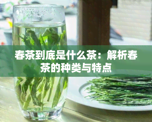 春茶到底是什么茶：解析春茶的种类与特点