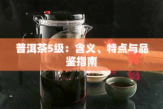 普洱茶5级：含义、特点与品鉴指南