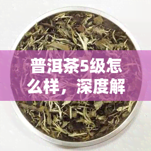 普洱茶5级怎么样，深度解析：普洱茶5级的品质如何？