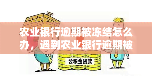 农业银行逾期被冻结怎么办，遇到农业银行逾期被冻结的情况，应该如何处理？