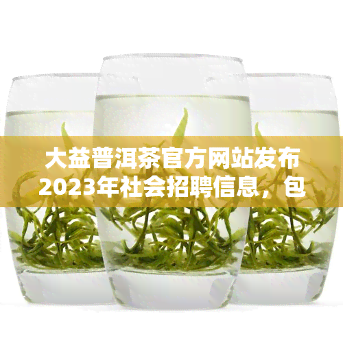 大益普洱茶官方网站发布2023年社会招聘信息，包括7542等多个产品详情