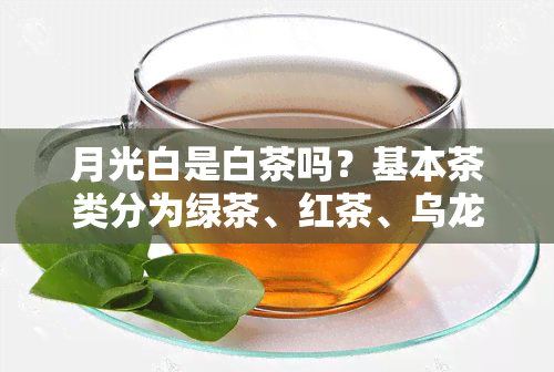 月光白是白茶吗？基本茶类分为绿茶、红茶、乌龙茶、黄茶、白茶和黑茶。