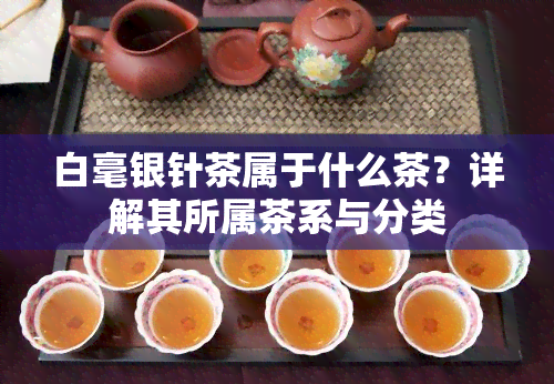 白毫银针茶属于什么茶？详解其所属茶系与分类