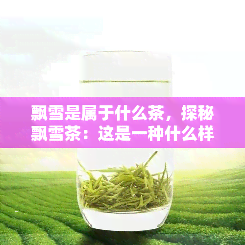 飘雪是属于什么茶，探秘飘雪茶：这是一种什么样的茶叶？