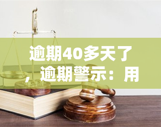 逾期40多天了，逾期警示：用户逾期40多天，需尽快还款