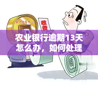 农业银行逾期13天怎么办，如何处理农业银行逾期13天的情况？