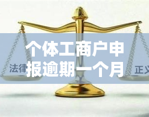 个体工商户申报逾期一个月如何处理及罚款规定