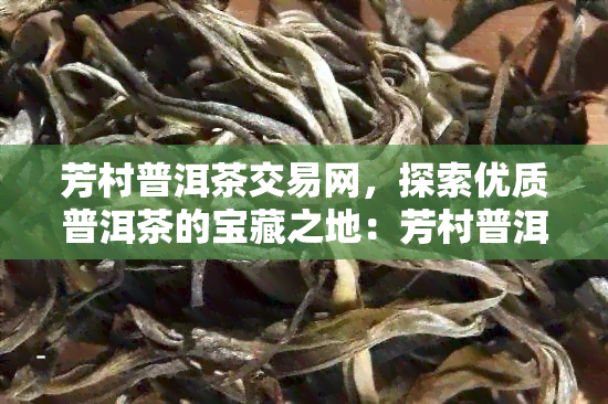 芳村普洱茶交易网，探索优质普洱茶的宝藏之地：芳村普洱茶交易网