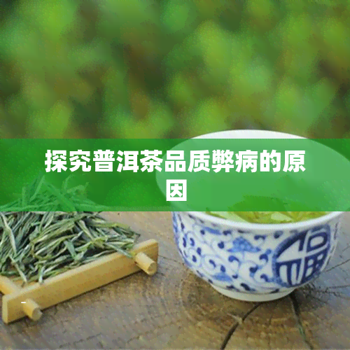 探究普洱茶品质弊病的原因