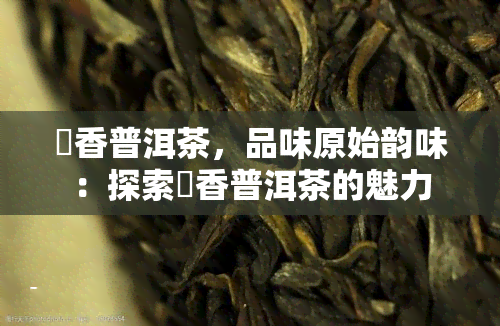 檽香普洱茶，品味原始韵味：探索檽香普洱茶的魅力