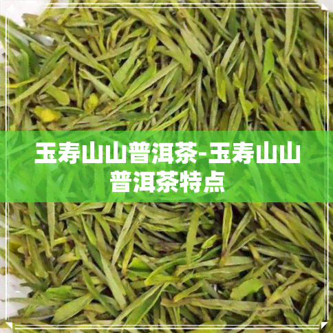 玉寿山山普洱茶-玉寿山山普洱茶特点