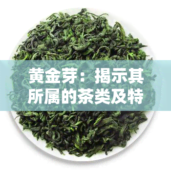 黄金芽：揭示其所属的茶类及特点