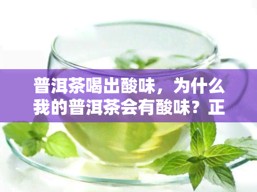 普洱茶喝出酸味，为什么我的普洱茶会有酸味？正确冲泡方法大揭秘！