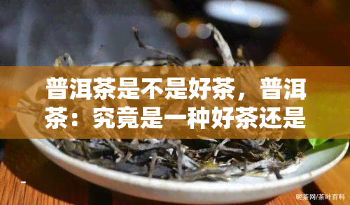 普洱茶是不是好茶，普洱茶：究竟是一种好茶还是坏茶？