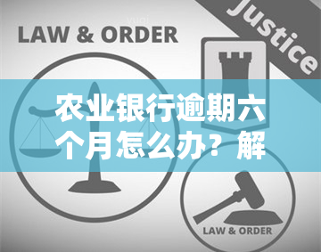 农业银行逾期六个月怎么办？解决办法及处理流程全解析