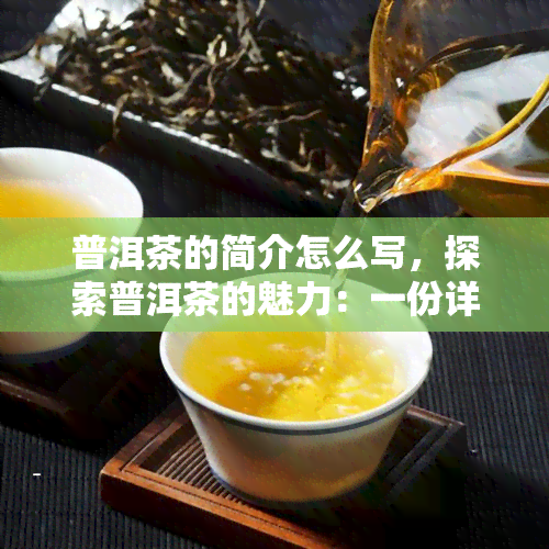 普洱茶的简介怎么写，探索普洱茶的魅力：一份详尽的介绍