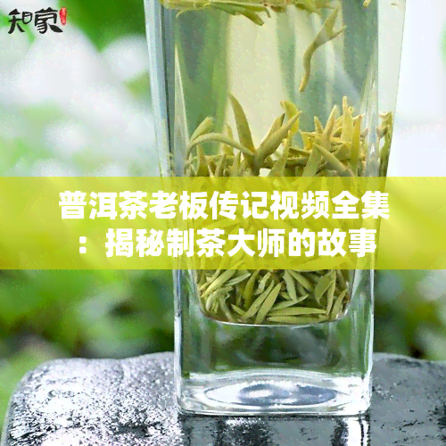 普洱茶老板传记视频全集：揭秘制茶大师的故事