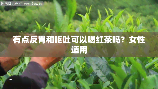 有点反胃和呕吐可以喝红茶吗？女性适用