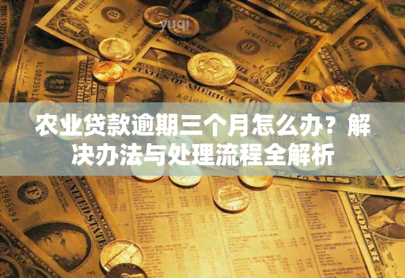 农业贷款逾期三个月怎么办？解决办法与处理流程全解析