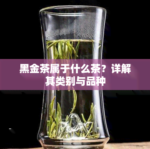 黑金茶属于什么茶？详解其类别与品种