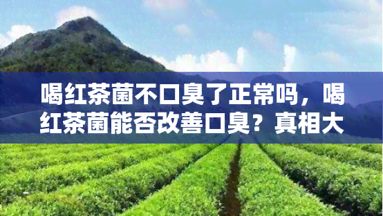 喝红茶菌不口臭了正常吗，喝红茶菌能否改善口臭？真相大揭秘！