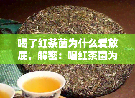 喝了红茶菌为什么爱放屁，解密：喝红茶菌为何会让人频繁放屁？