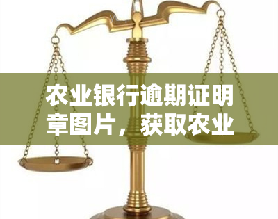 农业银行逾期证明章图片，获取农业银行逾期证明章图片的方法