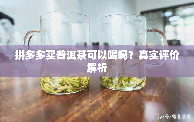 拼多多买普洱茶可以喝吗？真实评价解析