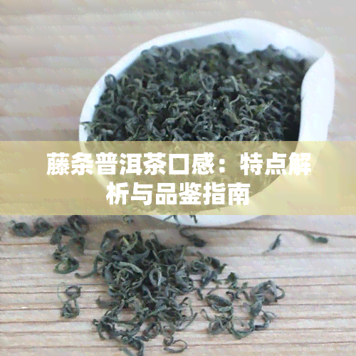 藤条普洱茶口感：特点解析与品鉴指南