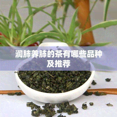 润肺养肺的茶有哪些品种及推荐