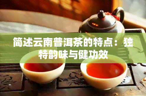 简述云南普洱茶的特点：独特韵味与健功效