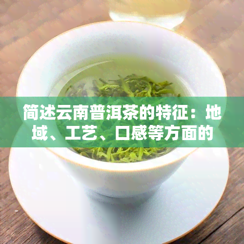 简述云南普洱茶的特征：地域、工艺、口感等方面的独特表现