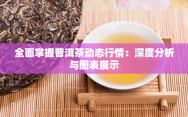 全面掌握普洱茶动态行情：深度分析与图表展示