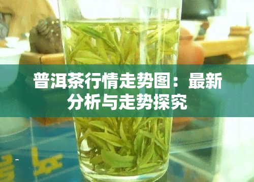 普洱茶行情走势图：最新分析与走势探究