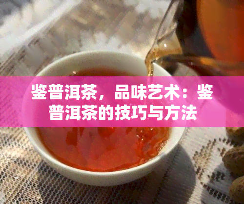 鉴普洱茶，品味艺术：鉴普洱茶的技巧与方法