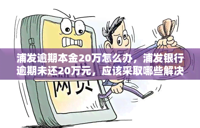 浦发逾期本金20万怎么办，浦发银行逾期未还20万元，应该采取哪些解决措？