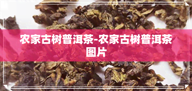 农家古树普洱茶-农家古树普洱茶图片