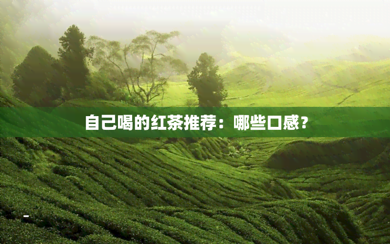 自己喝的红茶推荐：哪些口感？