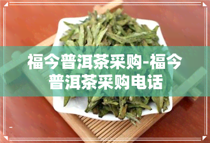 福今普洱茶采购-福今普洱茶采购电话