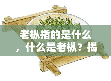 老枞指的是什么，什么是老枞？揭开这种茶叶的神秘面纱