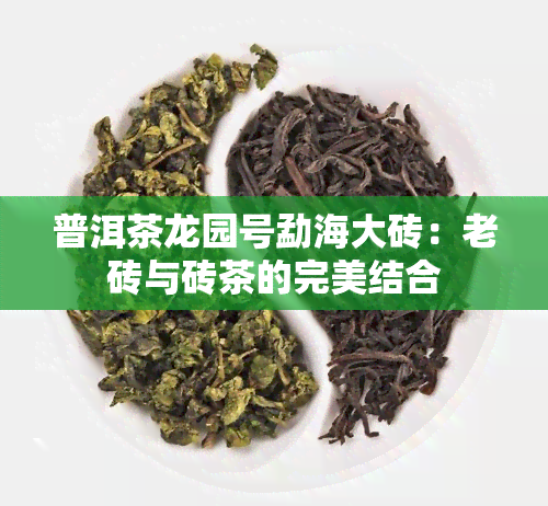 普洱茶龙园号勐海大砖：老砖与砖茶的完美结合