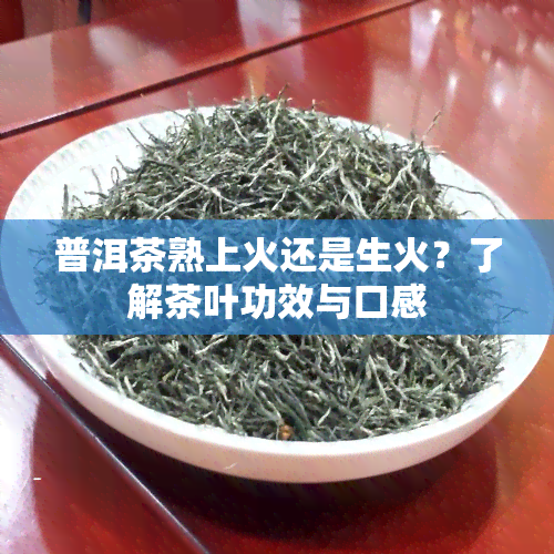 普洱茶熟上火还是生火？了解茶叶功效与口感