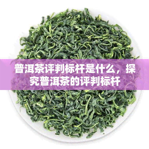 普洱茶评判标杆是什么，探究普洱茶的评判标杆