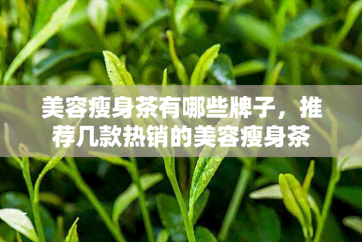 美容瘦身茶有哪些牌子，推荐几款热销的美容瘦身茶