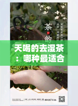 天喝的去湿茶：哪种最适合？有何功效？