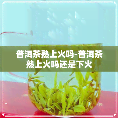 普洱茶熟上火吗-普洱茶熟上火吗还是下火