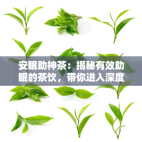 安眠助神茶：揭秘有效助眠的茶饮，带你进入深度睡眠状态