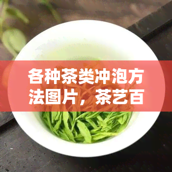 各种茶类冲泡方法图片，茶艺百科：各种茶类的冲泡方法图片全解析