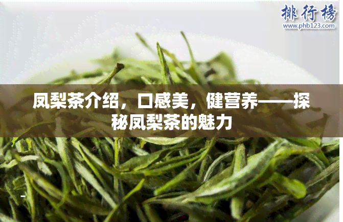 凤梨茶介绍，口感美，健营养——探秘凤梨茶的魅力