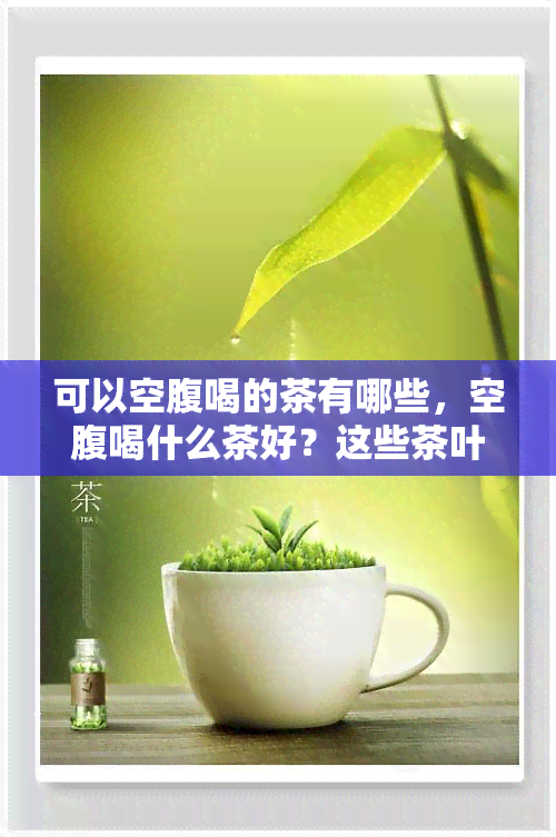 可以空腹喝的茶有哪些，空腹喝什么茶好？这些茶叶适合你！